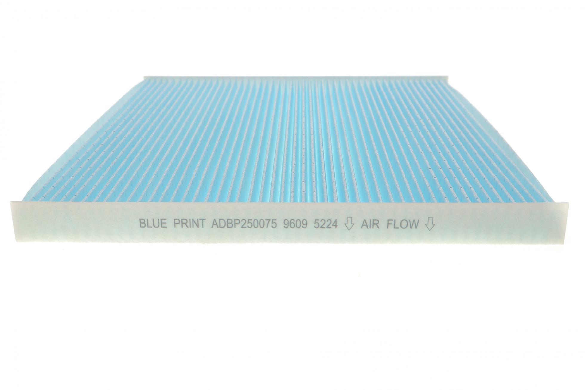 ADBP250075 BLUE PRINT